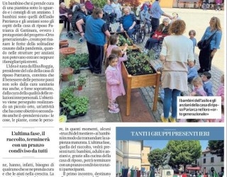 articoli giornale casa riposo gattinara